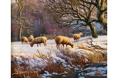 Signature image, click to enlarge