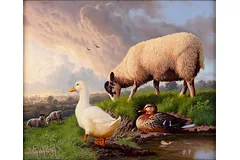 No frame image, click to enlarge