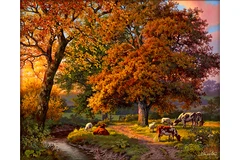 No frame image, click to enlarge