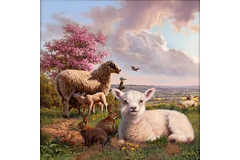 No frame image, click to enlarge