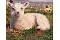 Signature image, click to enlarge