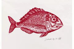 No frame image, click to enlarge