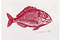 Large image, click to enlarge