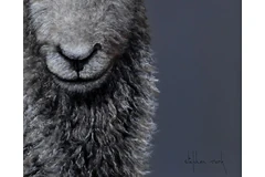 Signature image, click to enlarge