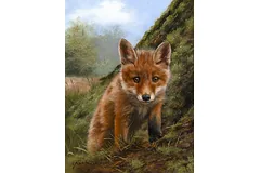 No frame image, click to enlarge