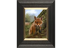 Large image, click to enlarge