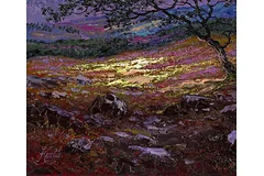 Signature image, click to enlarge