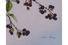 Signature image, click to enlarge