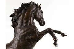 No frame image, click to enlarge