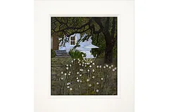 Large image, click to enlarge