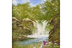 No frame image, click to enlarge
