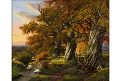 No frame image, click to enlarge