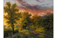 No frame image, click to enlarge