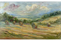 No frame image, click to enlarge