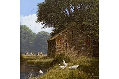 No frame image, click to enlarge