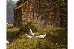 Signature image, click to enlarge