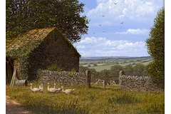 Signature image, click to enlarge