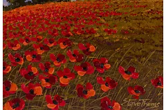 Signature image, click to enlarge