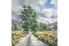 No frame image, click to enlarge