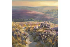 No frame image, click to enlarge