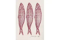 Large image, click to enlarge