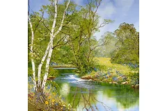 No frame image, click to enlarge