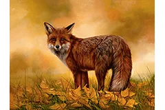 Large image, click to enlarge