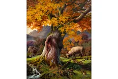 No frame image, click to enlarge