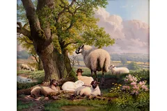 No frame image, click to enlarge