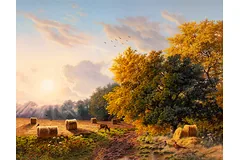 No frame image, click to enlarge
