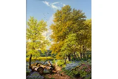 No frame image, click to enlarge