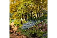 Signature image, click to enlarge