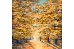 No frame image, click to enlarge
