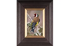 Large image, click to enlarge