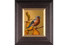 Large image, click to enlarge