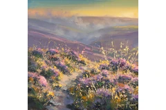 No frame image, click to enlarge