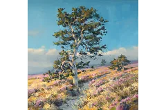 No frame image, click to enlarge