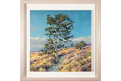 Large image, click to enlarge