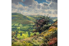 No frame image, click to enlarge