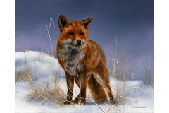 No frame image, click to enlarge