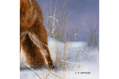 Signature image, click to enlarge