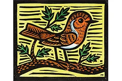 Large image, click to enlarge