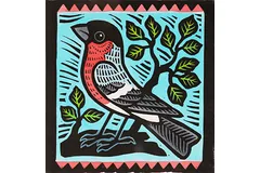 No frame image, click to enlarge