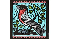 Large image, click to enlarge