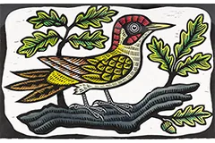 Large image, click to enlarge