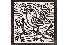 No frame image, click to enlarge