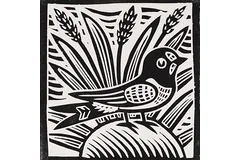 No frame image, click to enlarge