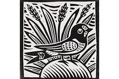 Large image, click to enlarge