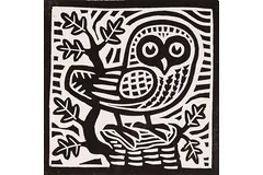 No frame image, click to enlarge