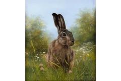 No frame image, click to enlarge